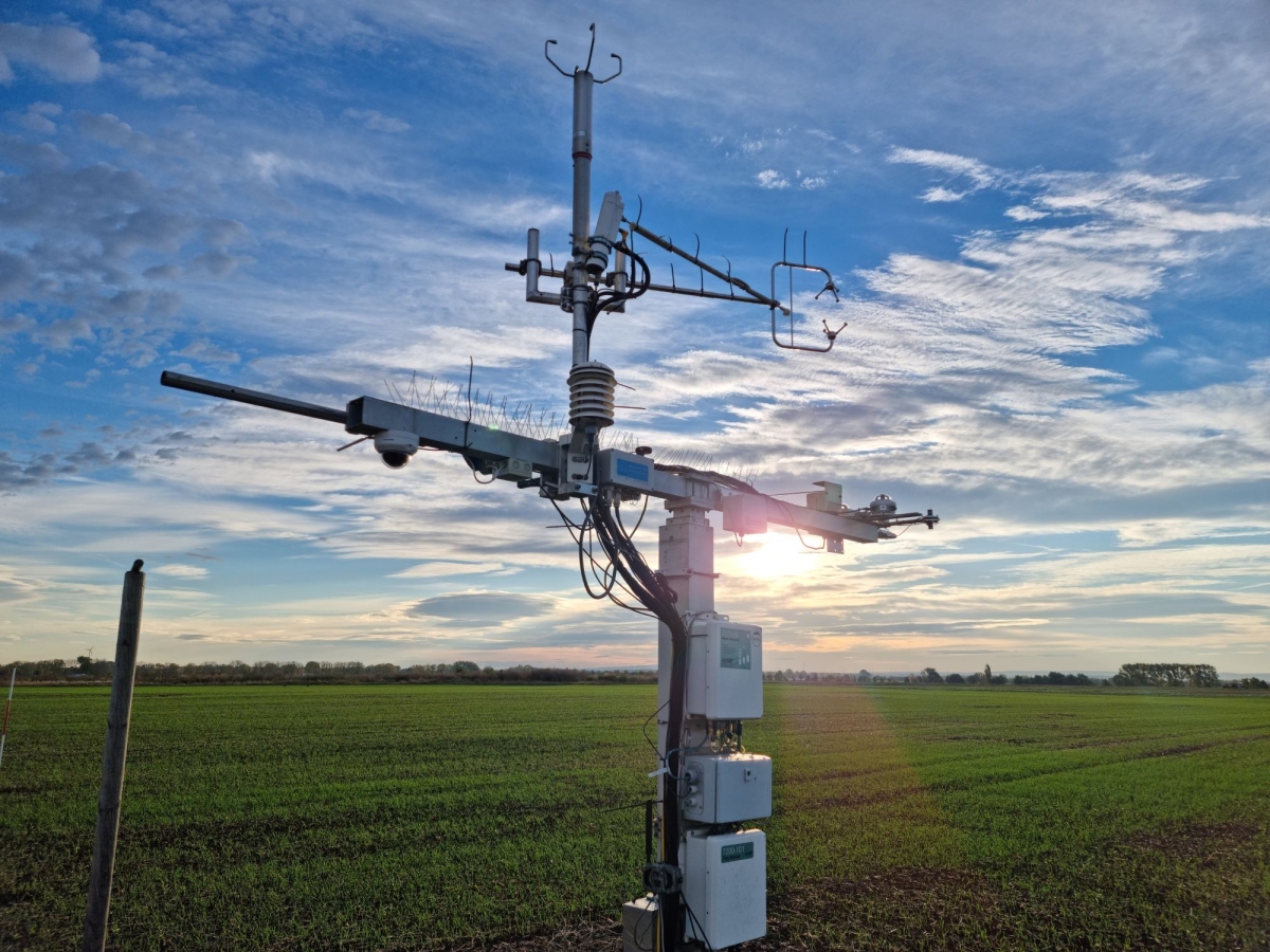 Instrument in the field