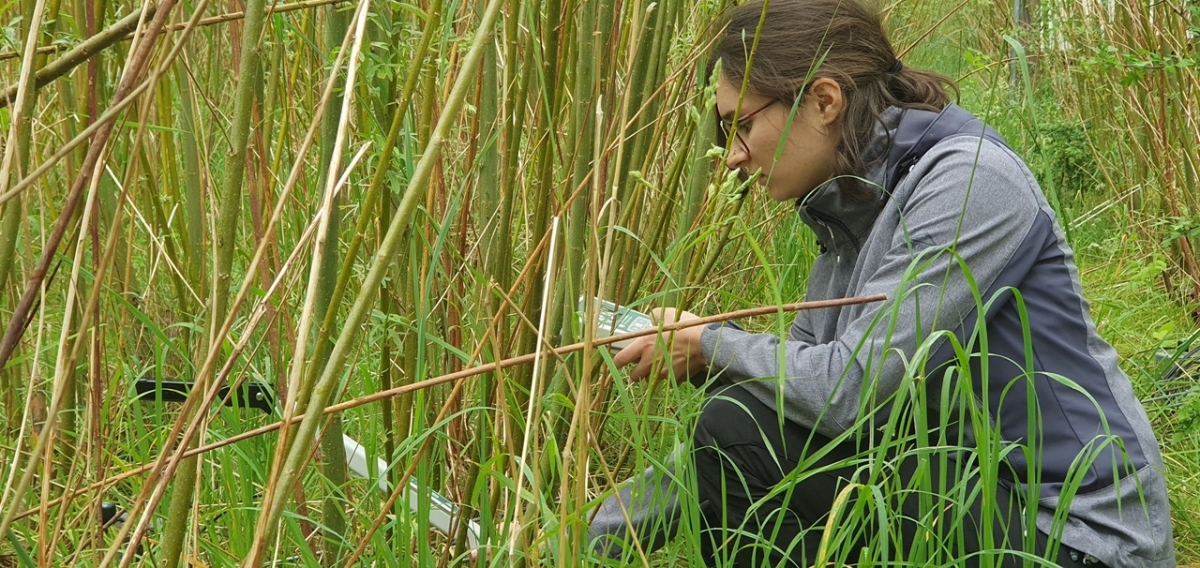 Pictured here is Mathilde Jaujay who used data from this station in her recent MSc thesis.