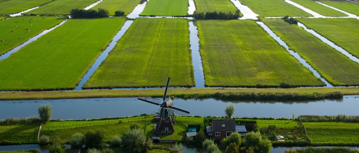 Photo of windmill and irrigated fields