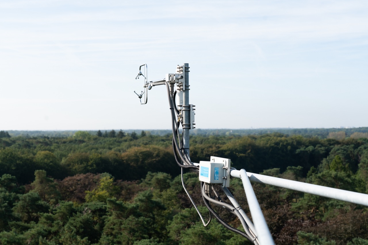 eddy covariance set up on top of treetops