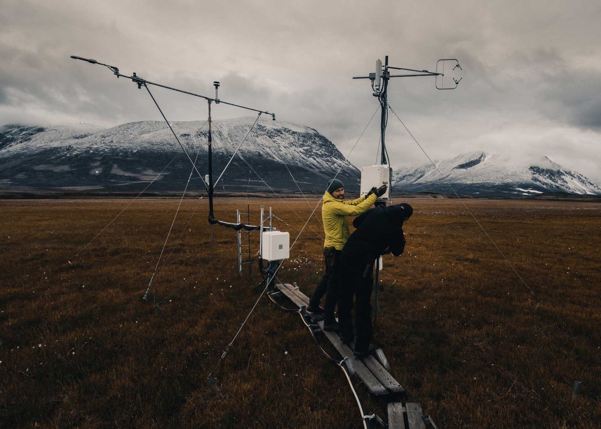 Ecosystem measurements image