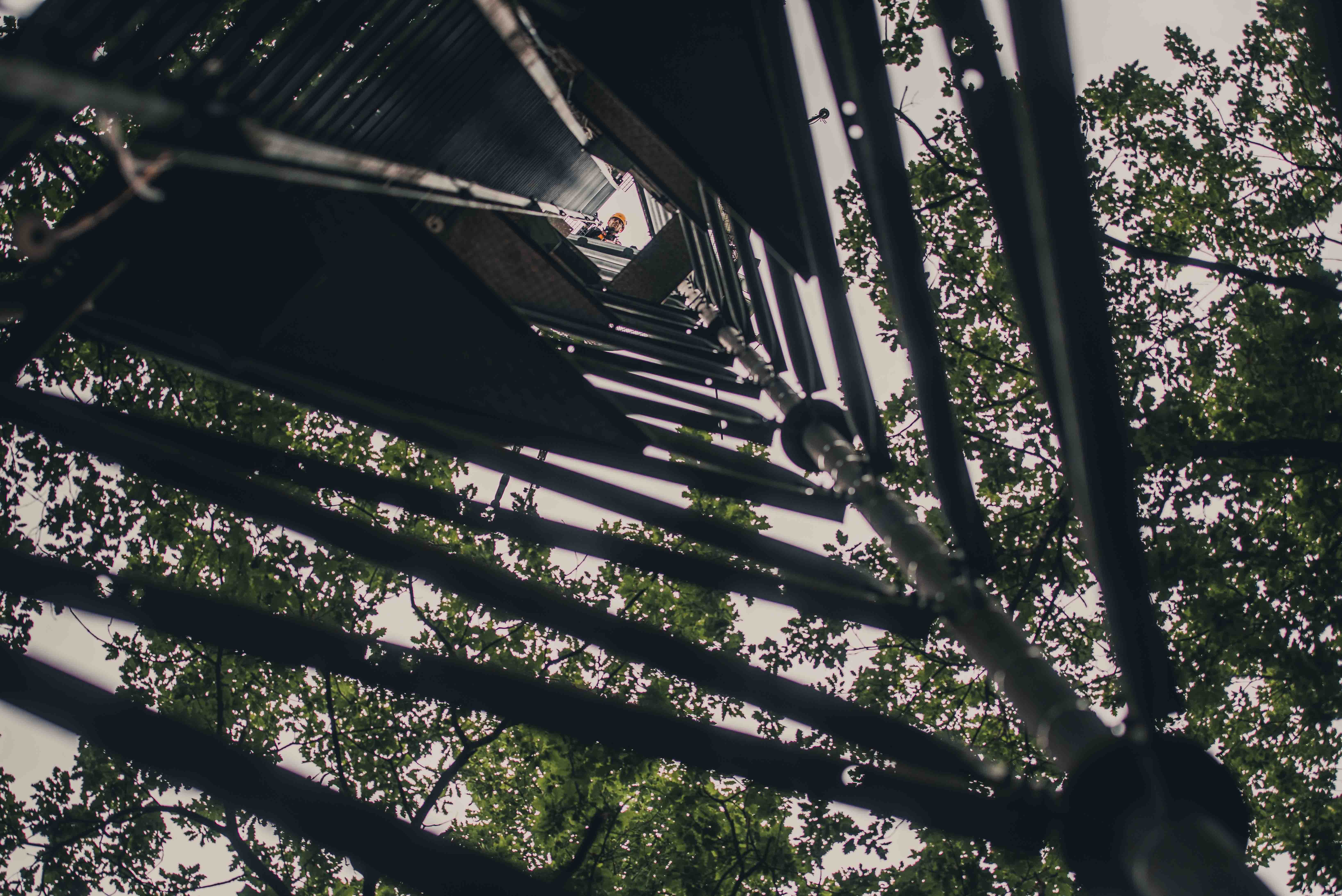 Ground-up photograph of a scientist on top of the measurement tower