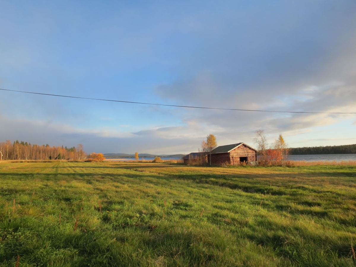 Figure 1) Landscape near Sodankylä in Lapland. The ICOS station Pallas Sammaltunturi is not to far from here. It is one of the atmospheric stations which measures data that Aki analyses.