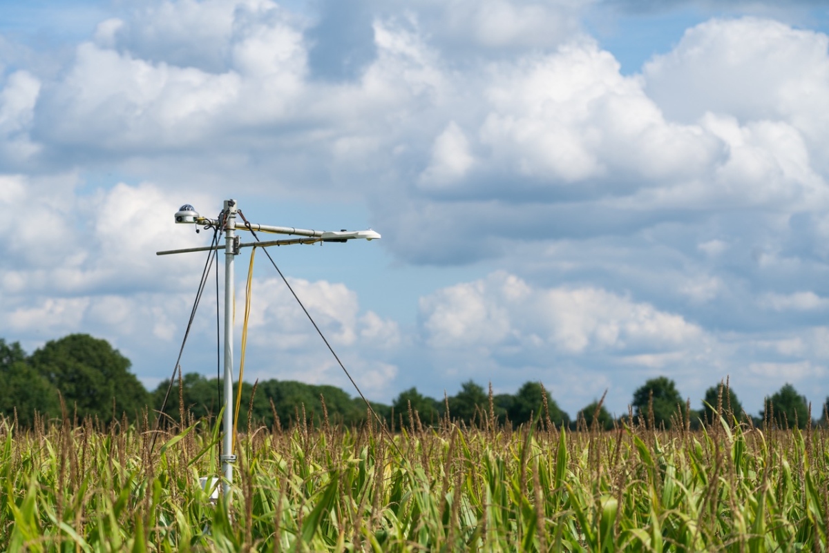 A field of grass with a pole and clouds in the sky

Description automatically generated