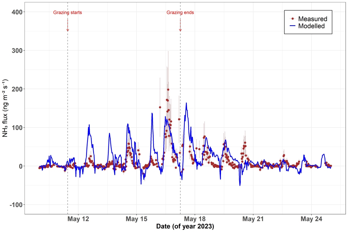 Comparison of measured and modelled ammonia (NH₃) fluxes in grazed grassland over a two-week period. The modelled flux (blue line) was simulated using the Generation of Ammonia from Grazing (GAG) model. Copyright Mubaraq Olarewaju Abdulwahab.