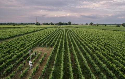 ICOS station in Lison, Italy. Copyright ICOS, photo by Pekka Pelkonen