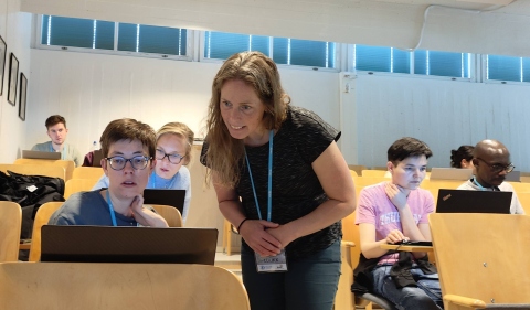 Modelling and other practical exercises during the ICOS Summer School