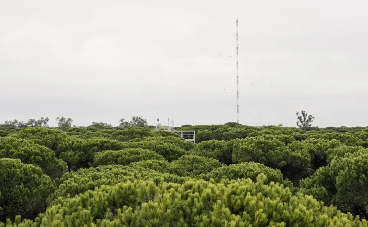 el arenosillo tower on top of green trees 