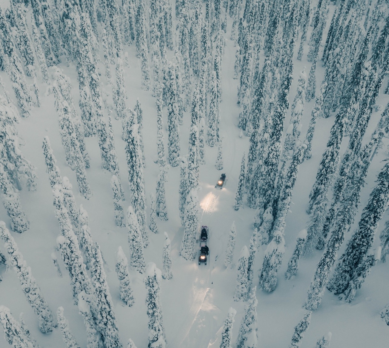 scientists driving snow mobiles in the Finnish Lapland